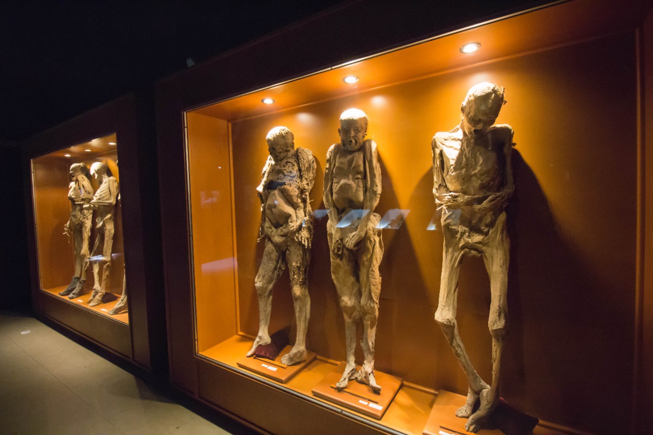 Museo de las Momias (Guanajuato): A Dark Yet Fascinating Journey into History