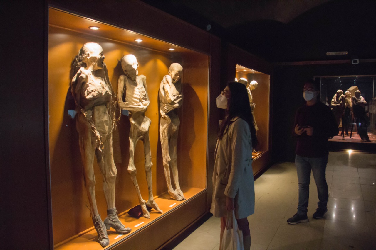 Museo de las Momias (Guanajuato): A Dark Yet Fascinating Journey into History