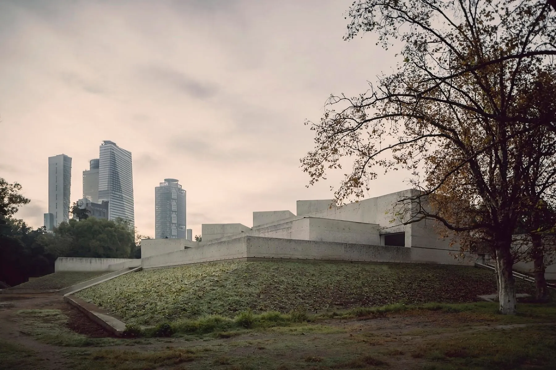 Museo Tamayo: A Hidden Gem You Need to Visit on Your Next Trip to Mexico City!