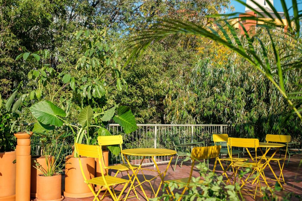 Nido Condesa: The Ultimate Stay in the Heart of Mexico City &#8211; Your Perfect Escape