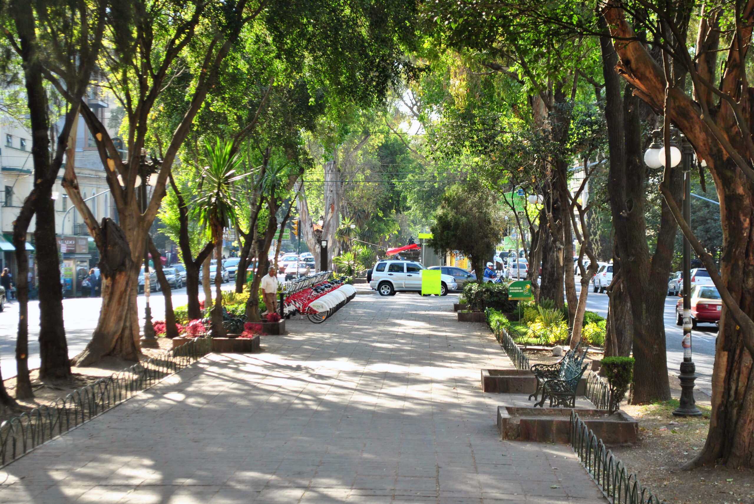 Roma Sur Cozy Apartments by VH: Your Ultimate Stay in Mexico City