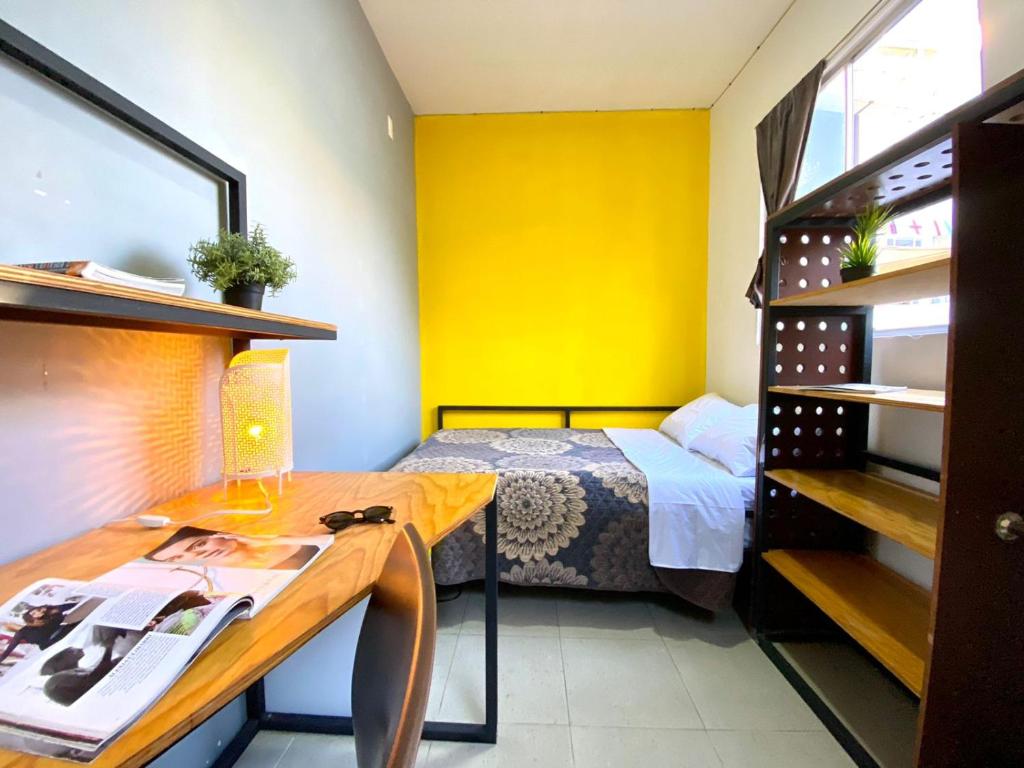 Roomies Hostel Parque Mexico: The Ultimate Spot for Your Next Stay in Mexico City