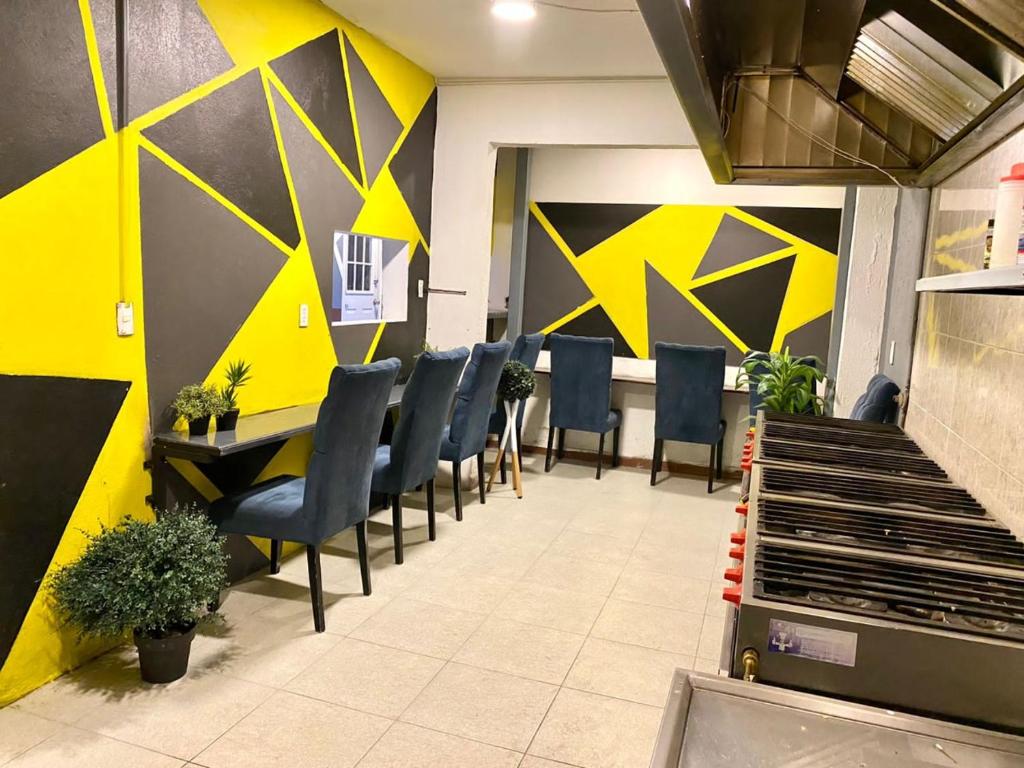 Roomies Hostel Parque Mexico: The Ultimate Spot for Your Next Stay in Mexico City