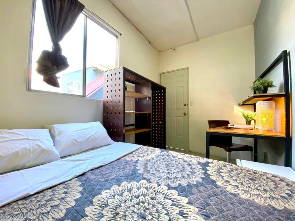 Roomies Hostel Parque Mexico: The Ultimate Spot for Your Next Stay in Mexico City