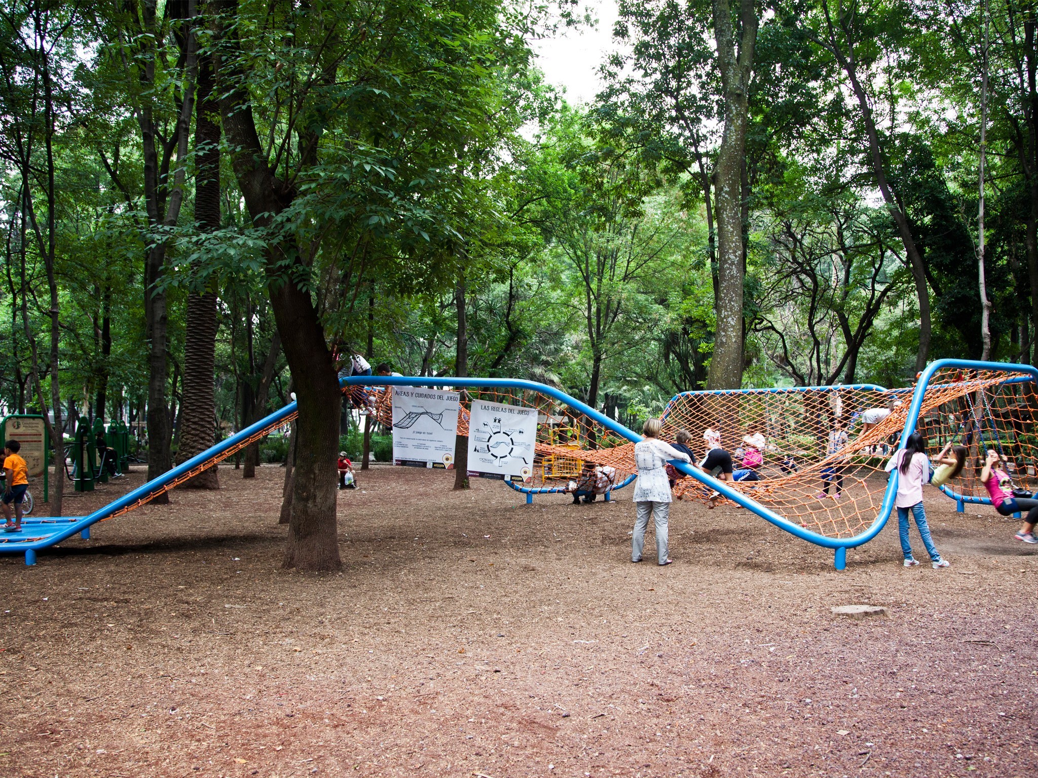 Roomies Hostel Parque Mexico: The Ultimate Spot for Your Next Stay in Mexico City