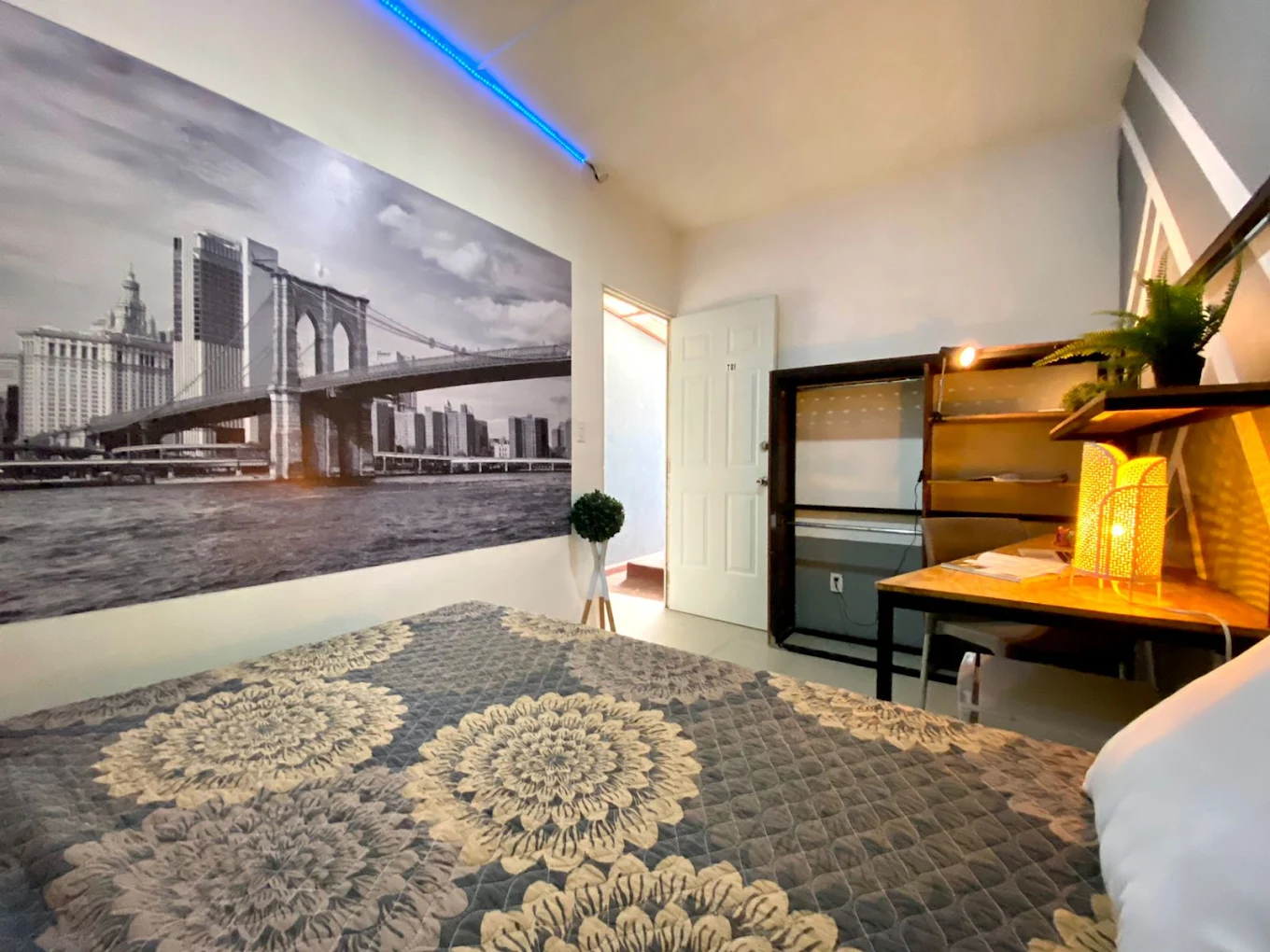 Roomies Hostel Parque Mexico: The Ultimate Spot for Your Next Stay in Mexico City