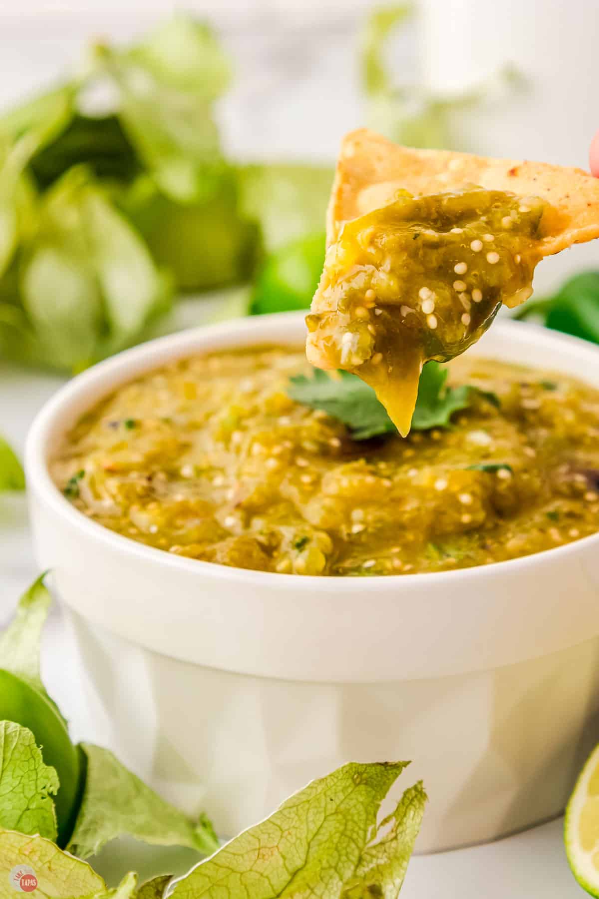 Salsa Verde: Discover the Zesty Taste That Elevates Every Dish – Uncovering the Secrets with Hotel Las Palapas