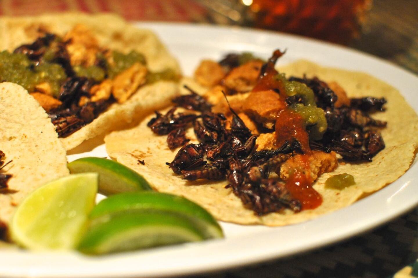 Tacos de Chapulines: A Unique Culinary Adventure at Hotel Las Palapas