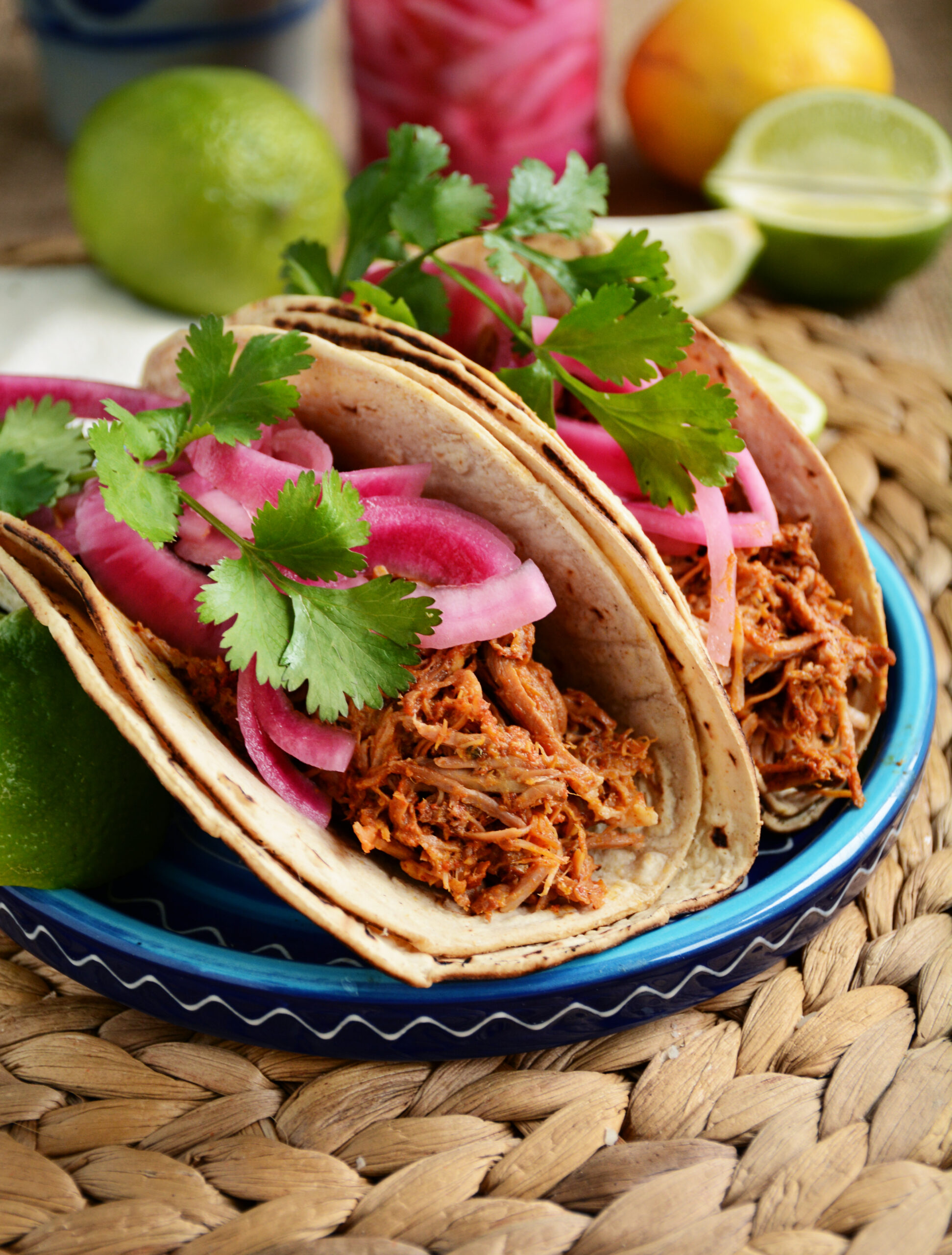 Tacos de Cochinita Pibil: The Best Way to Taste Mexico at Hotel Las Palapas