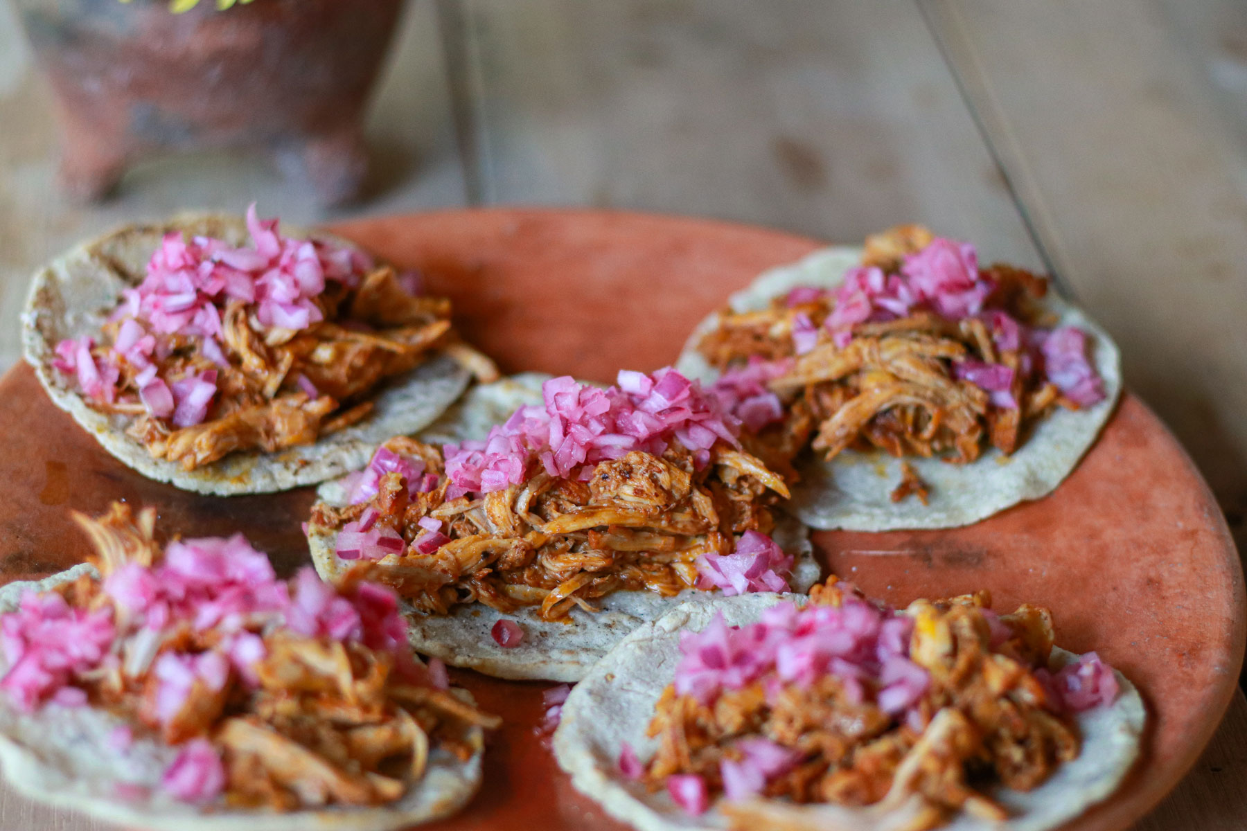 Tacos de Cochinita Pibil: The Best Way to Taste Mexico at Hotel Las Palapas