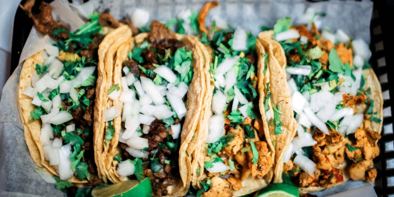 Tacos de Escamoles: A Unique Mexican Delicacy You Must Try at Hotel Las Palapas