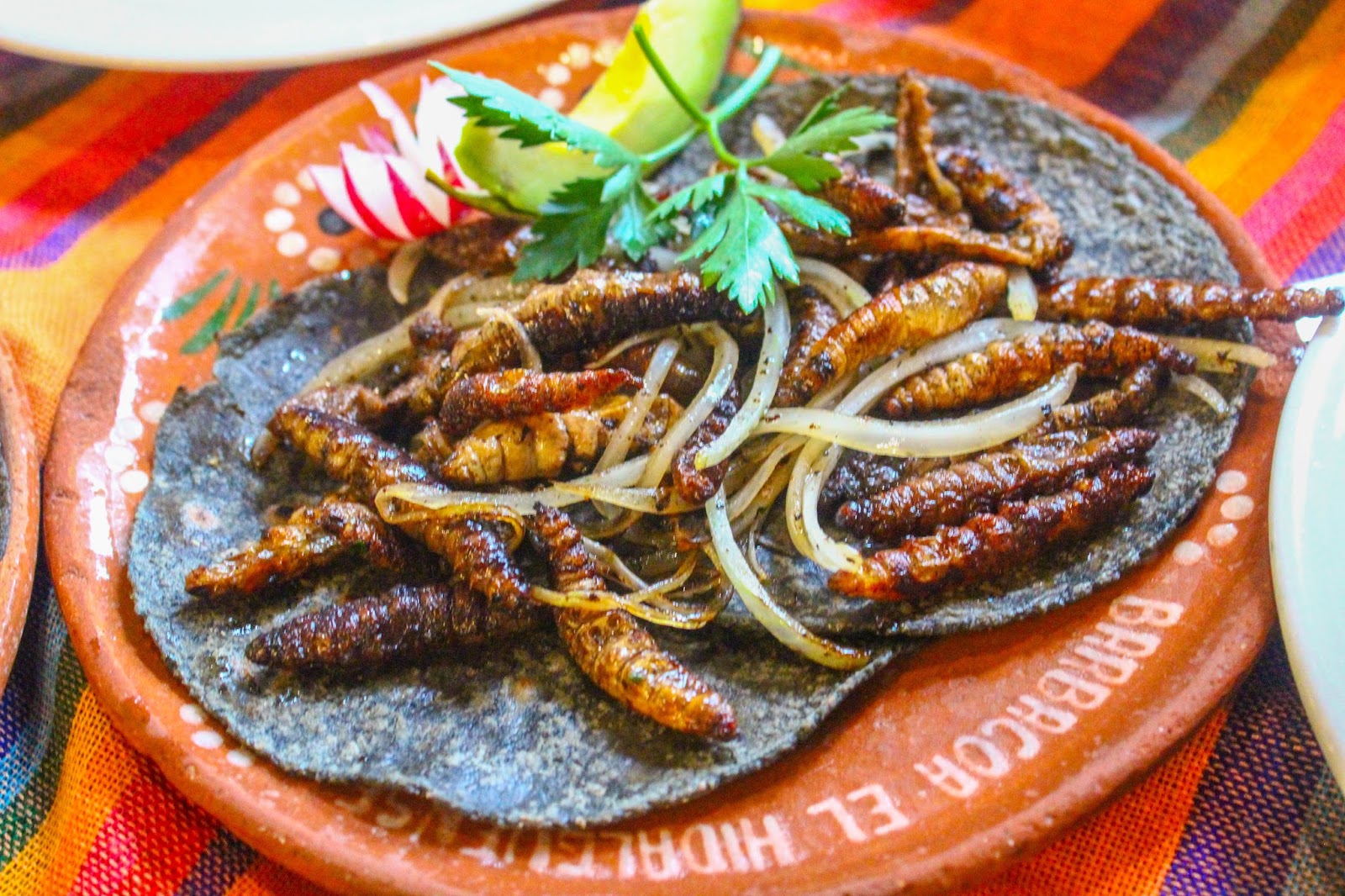 Tacos de Gusanos de Maguey: A Deep Dive Into the Unique Mexican Delicacy