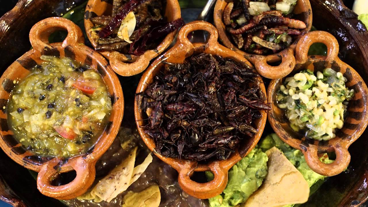 Tacos de Gusanos de Maguey: A Deep Dive Into the Unique Mexican Delicacy