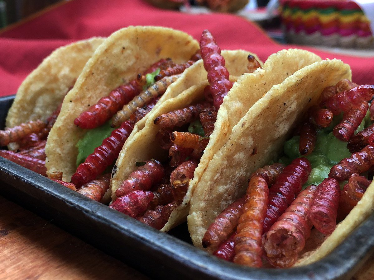 Tacos de Gusanos de Maguey: A Deep Dive Into the Unique Mexican Delicacy