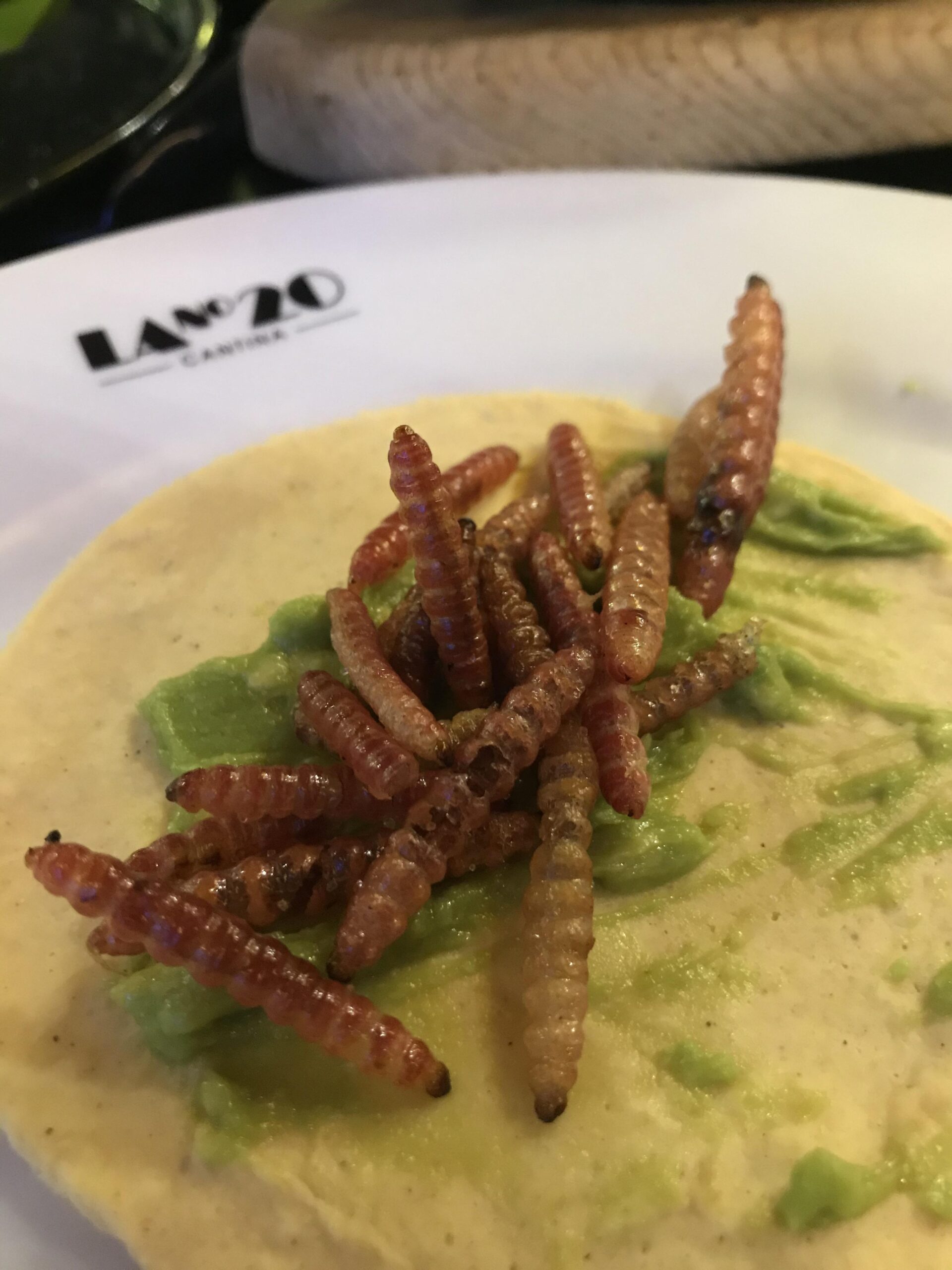 Tacos de Gusanos de Maguey: A Deep Dive Into the Unique Mexican Delicacy