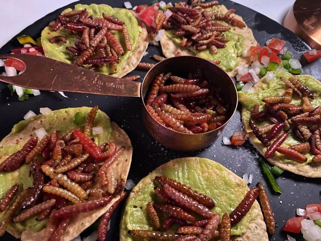 Tacos de Gusanos de Maguey: A Deep Dive Into the Unique Mexican Delicacy
