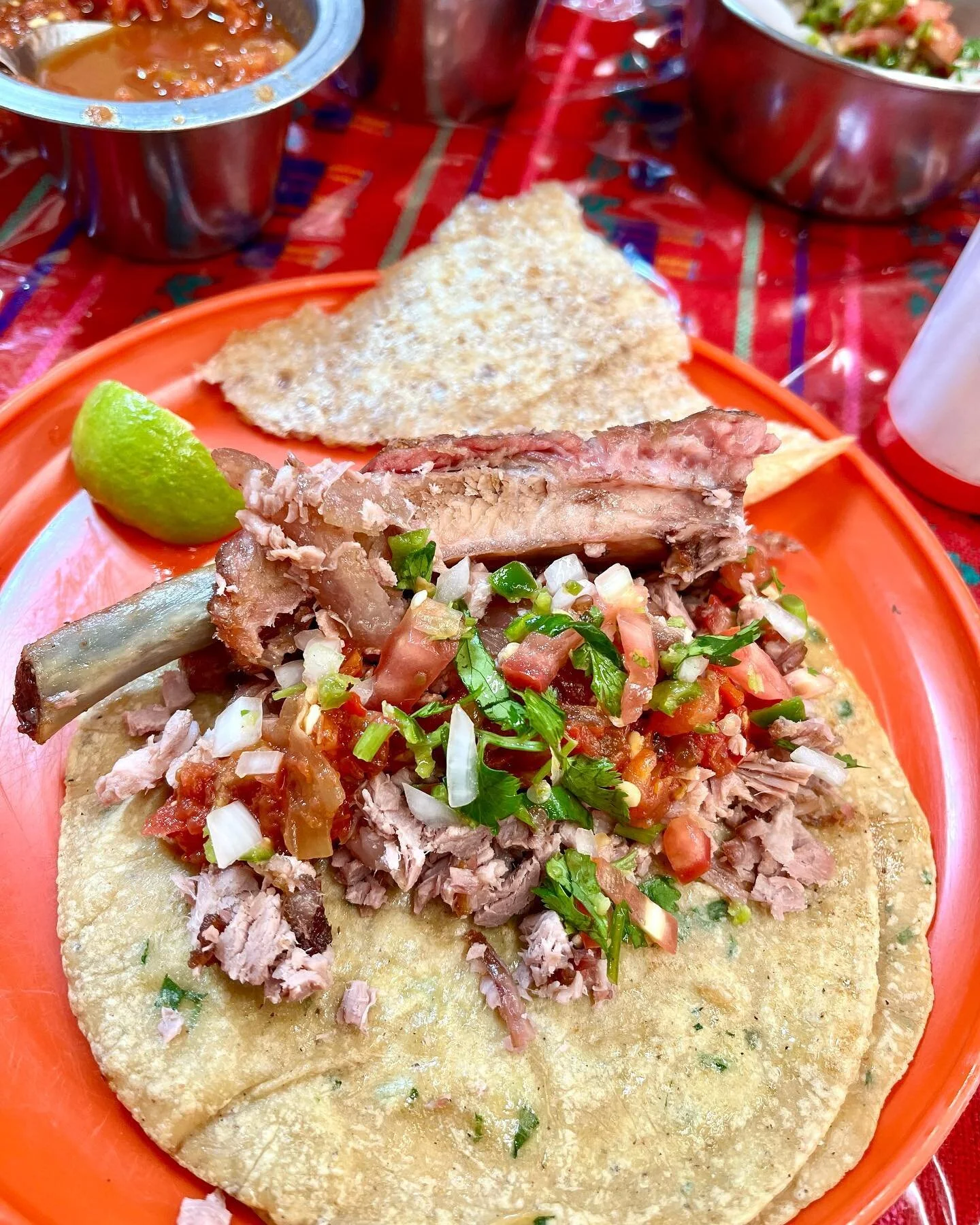Tacos de Jabalí: A Wild Culinary Adventure at Hotel Las Palapas