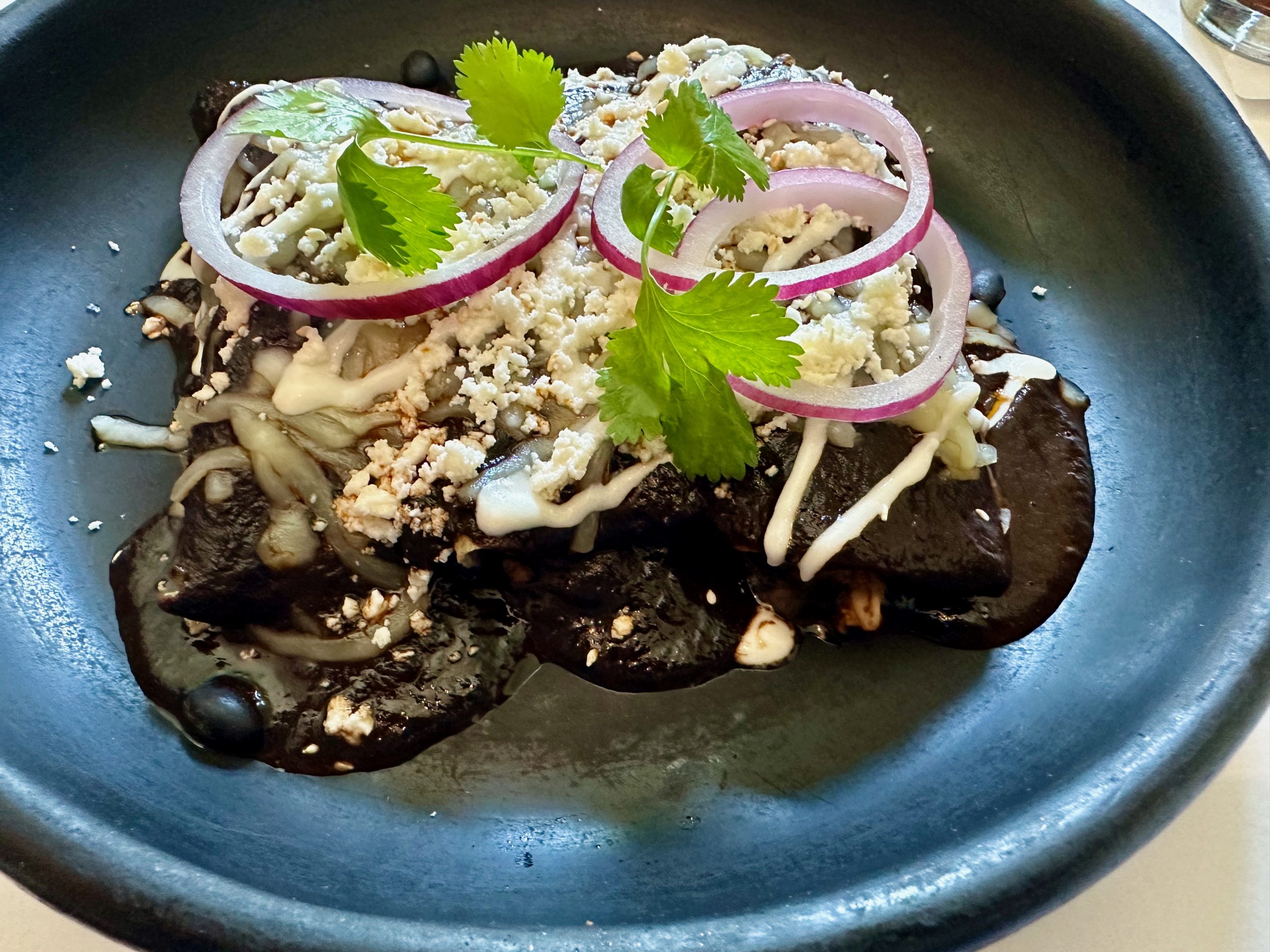 Tacos de Mole Negro: A Delicious Taste of Mexican Tradition at Hotel Las Palapas