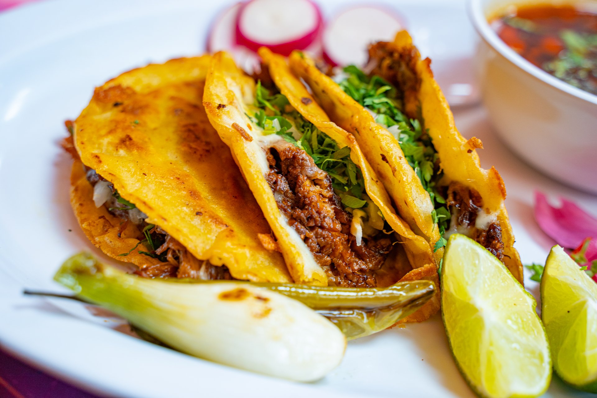 Tacos de Mole Negro: A Delicious Taste of Mexican Tradition at Hotel Las Palapas