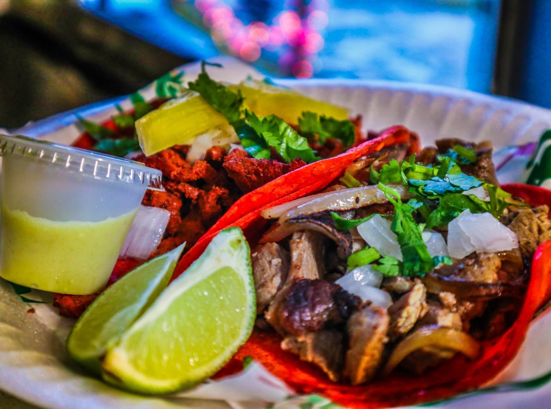 Tacos de Xoloitzcuintli: A Hidden Mexican Culinary Gem You Can’t Miss
