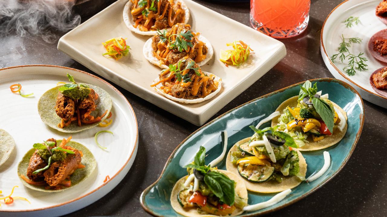 Tequila Festival in Tequila: Experience the Ultimate Celebration of Tradition and Flavor