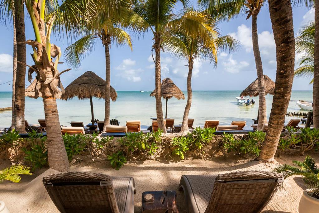 The Best Place to Enjoy Authentic Tacos de Tripa